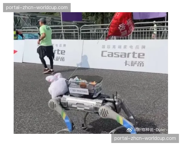 特写：马拉松比赛中，官方“配速员”兔子们的精准控场艺术